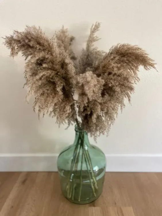 Pampas Grass Sticks for Decoration, Dried Grass Bunch, Boho Home Decor Items | Brown Natural Pampas Grass for Home Décor | for Living Room, Study Room, Floor Vase (Pack of 5, 54 Inch)