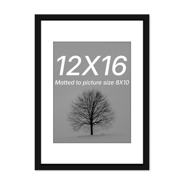 Art Street Photo Frame For Wall Set of 5 Black Picture Frame For Home and Office Decoration, Size -(Size -12x16 Inches)