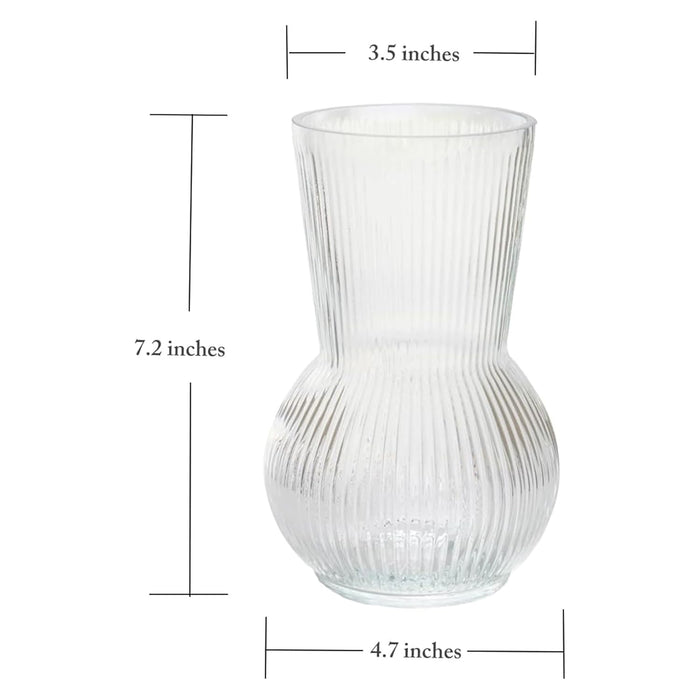 Glass Flower Vase for Modern Decorative Flower and Plants for Table Centerpiece Decoration (12x18 cm)