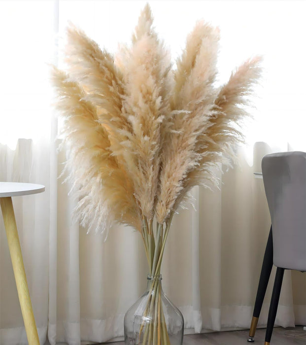 Pampas Grass Sticks for Decoration, Dried Grass Bunch, Boho Home Decor Items | Brown Natural Pampas Grass for Home Décor | for Living Room, Study Room, Floor Vase (Pack of 5, 54 Inch)