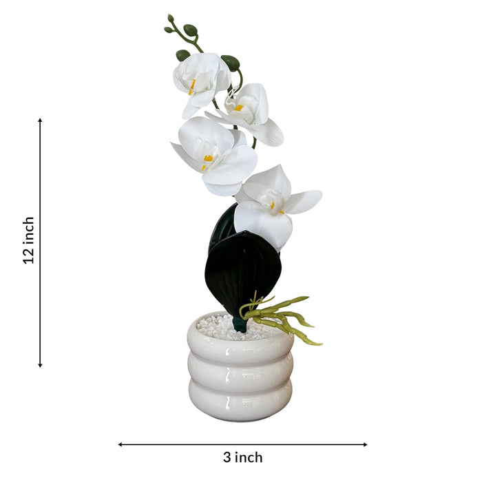 Ceramic Potted Vase Artificial Orchid Flower with Round Wave Pot for Table Top (White, Size: 3x12Inch)