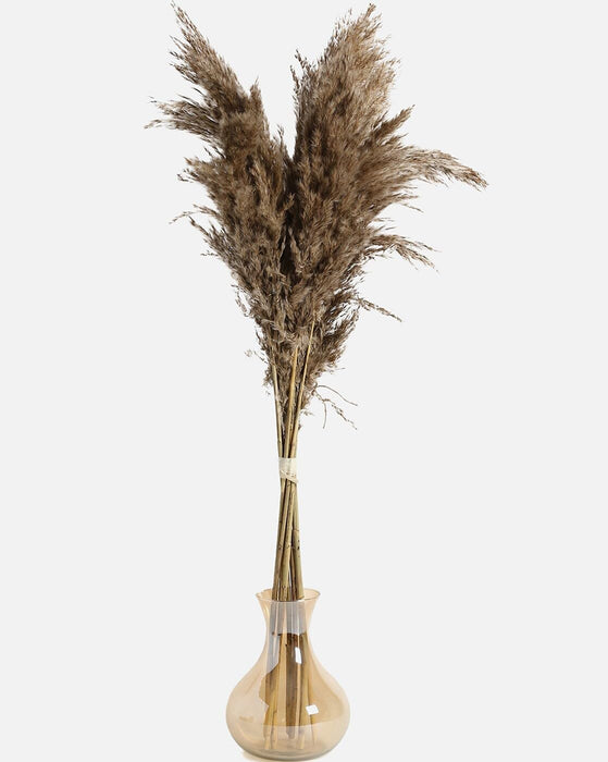 Pampas Grass Sticks for Decoration, Dried Grass Bunch, Boho Home Decor Items | Brown Natural Pampas Grass for Home Décor | for Living Room, Study Room, Floor Vase (Pack of 5, 54 Inch)