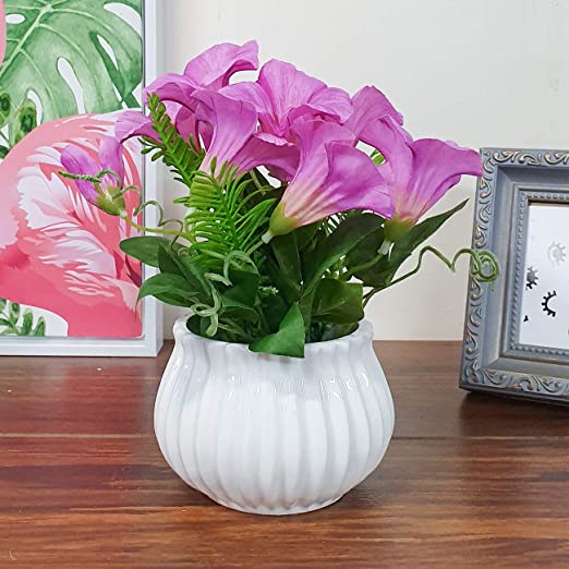 Artificial Table Orchid Plants/Flower in Ceramic Pot/Planter for Home.