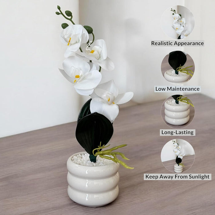 Ceramic Potted Vase Artificial Orchid Flower with Round Wave Pot for Table Top (White, Size: 3x12Inch)