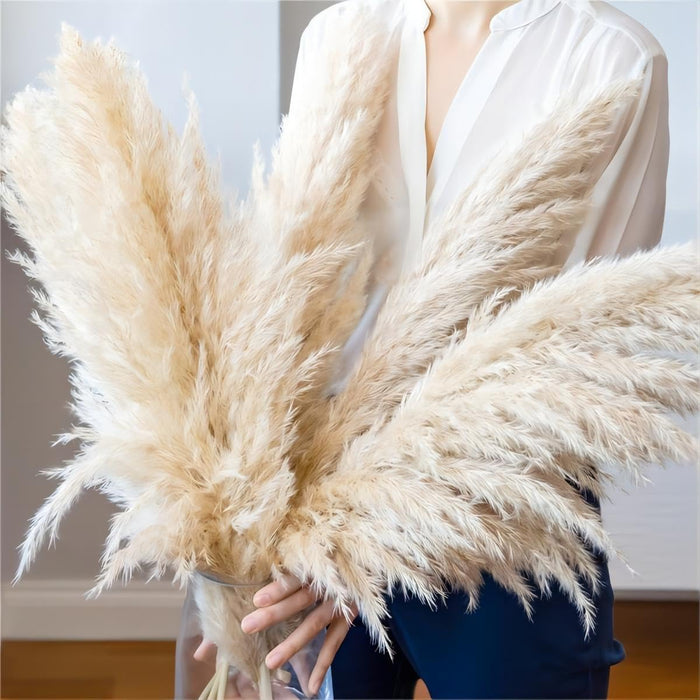 Pampas Grass Sticks for Decoration, Dried Grass Bunch, Boho Home Decor Items | Brown Natural Pampas Grass for Home Décor | for Living Room, Study Room, Floor Vase (Pack of 5, 54 Inch)