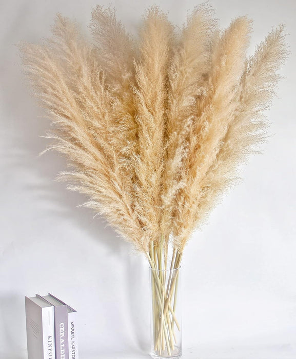 Pampas Grass Sticks for Decoration, Dried Grass Bunch, Boho Home Decor Items | Brown Natural Pampas Grass for Home Décor | for Living Room, Study Room, Floor Vase (Pack of 5, 54 Inch)