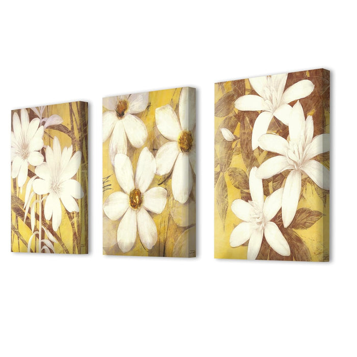 Art Street Stretched Canvas Painting White Sunflower For Living Room Decoration (Set of 3, Size: 16x22 Inch)