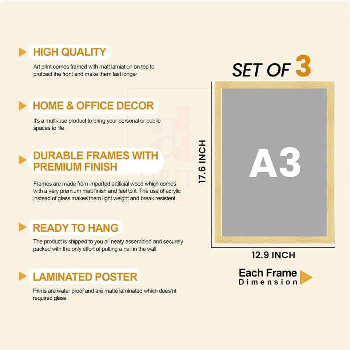 Modern Abstract Blooming Lotus A3 Framed Poster for Living Room With Frame, Abstract Floral Framed Vastu Posters for Home Decor Bedroom Hallways Office Hotel Set of 3, Size 33x45 cm