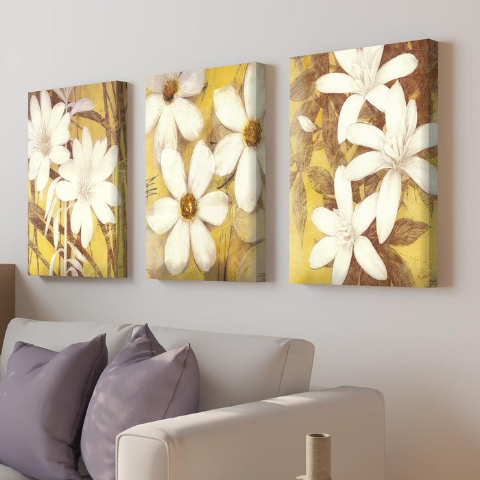 Art Street Stretched Canvas Painting White Sunflower For Living Room Decoration (Set of 3, Size: 16x22 Inch)