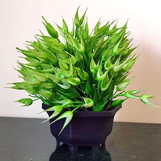 Multi Head Artificial Plant With Pot, Perfect For Home, Garden & Office Decorating - Size 8 x 8.5 Inch