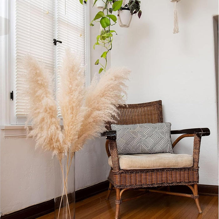 Pampas Grass Sticks for Decoration, Dried Grass Bunch, Boho Home Decor Items | Brown Natural Pampas Grass for Home Décor | for Living Room, Study Room, Floor Vase (Pack of 5, 54 Inch)