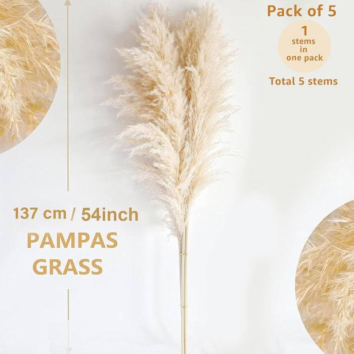 Pampas Grass Sticks for Decoration, Dried Grass Bunch, Boho Home Decor Items | Brown Natural Pampas Grass for Home Décor | for Living Room, Study Room, Floor Vase (Pack of 5, 54 Inch)