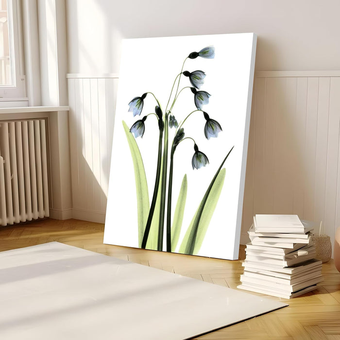 Beautiful Floral Transparent Flower Canvas Paintings Wall Art Pictures Posters Prints Living Room Home Décor, Design By Albert Koetsier (Size - 16x22 Inch)