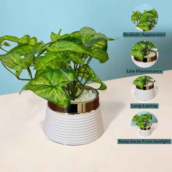 fake money plant Ceramic Potted Vase Artificial Money Plant with Round Pot for Table To — ART STREET