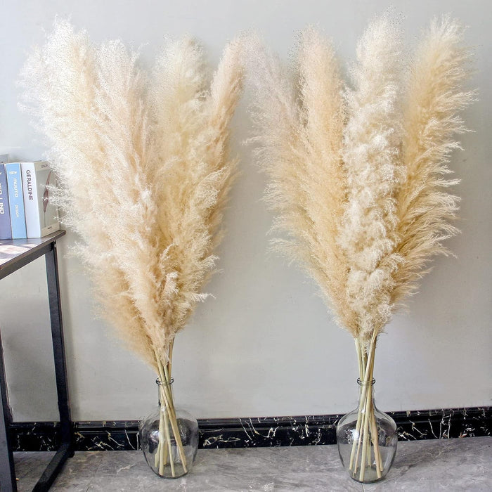 Pampas Grass Sticks for Decoration, Dried Grass Bunch, Boho Home Decor Items | Brown Natural Pampas Grass for Home Décor | for Living Room, Study Room, Floor Vase (Pack of 5, 54 Inch)