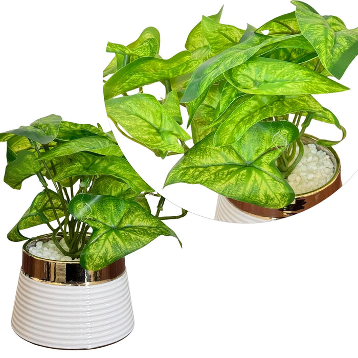 Ceramic Potted Vase Artificial Money Plant with Round Pot for Table Top (Green, Size: 3.5x7 Inch)