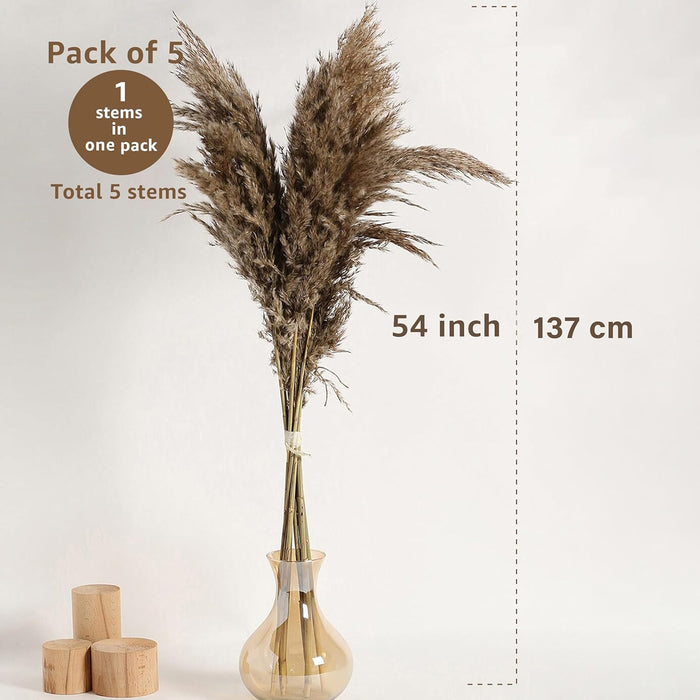 Pampas Grass Sticks for Decoration, Dried Grass Bunch, Boho Home Decor Items | Brown Natural Pampas Grass for Home Décor | for Living Room, Study Room, Floor Vase (Pack of 5, 54 Inch)