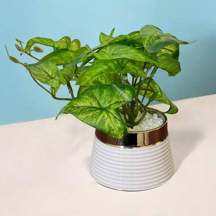 money plant in green vase Ceramic Potted Vase Artificial Money Plant with Round Pot for Table Top (Green, Size: 3.5x7 Inch)