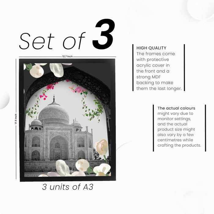 Art Street Laminated Framed Wall Art Prints Taj Mahal & Char Minar Art For Wall Décor Abstract Art (Set of 3, Size - 12.7x17.5 Inch)