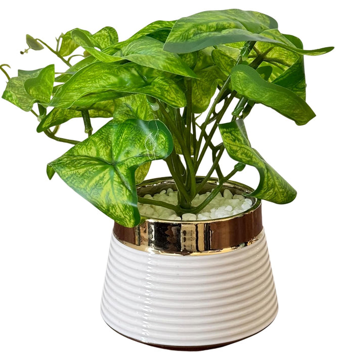 Ceramic Potted Vase Artificial Money Plant with Round Pot for Table Top (Green, Size: 3.5x7 Inch)