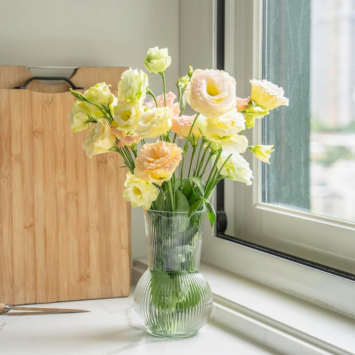 Glass Flower Vase for Modern Decorative Flower and Plants for Table Centerpiece Decoration (12x18 cm)