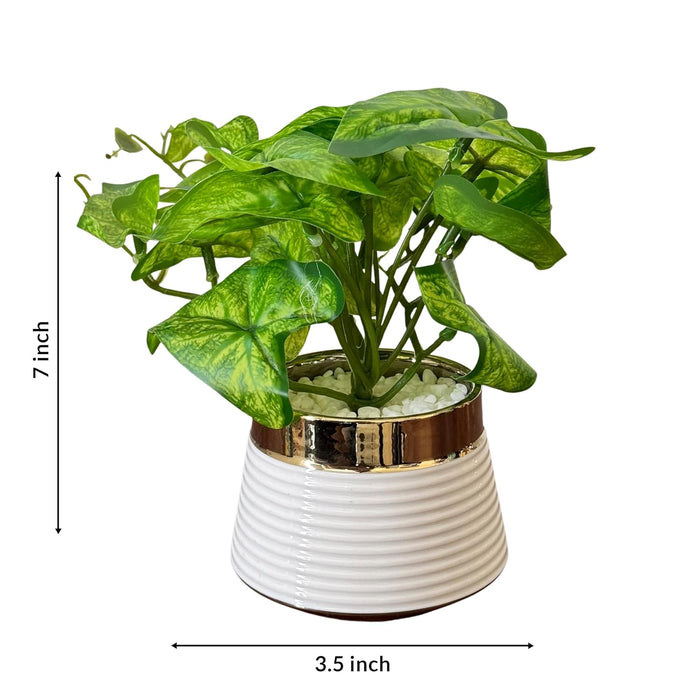 Ceramic Potted Vase Artificial Money Plant with Round Pot for Table Top (Green, Size: 3.5x7 Inch)