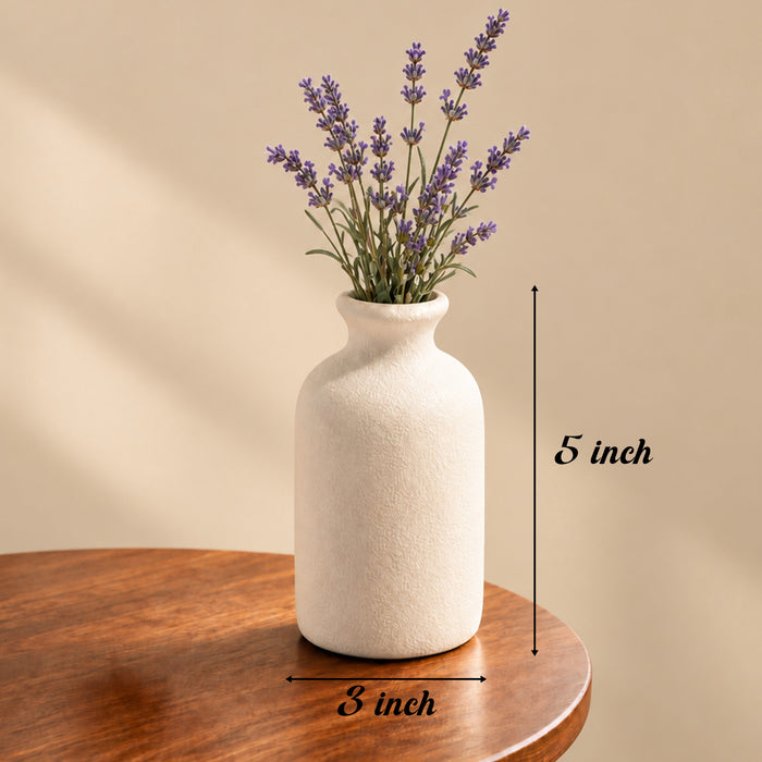 Off-White Plastic Bottle Vase, Home Decor, Tabletop Decorative Vase, Living Room, Bedroom, Office, Flower Vase, (5x3 Inch)