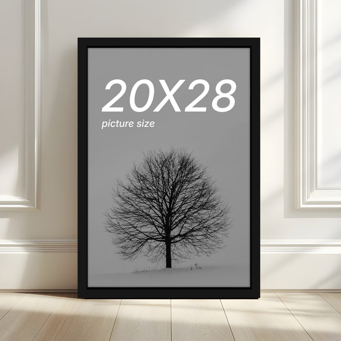 Valley Series Large Picture Frame/ Large Photo Frame for Home Decor. (Ph-1919)