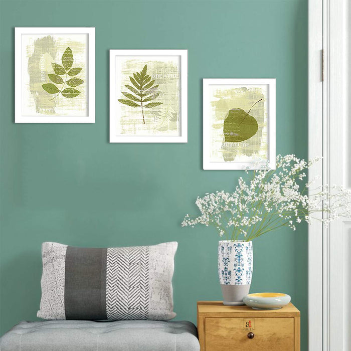 Green Nature Set Of 3 White Framed Art Prints Size - 8 x 10 Inch
