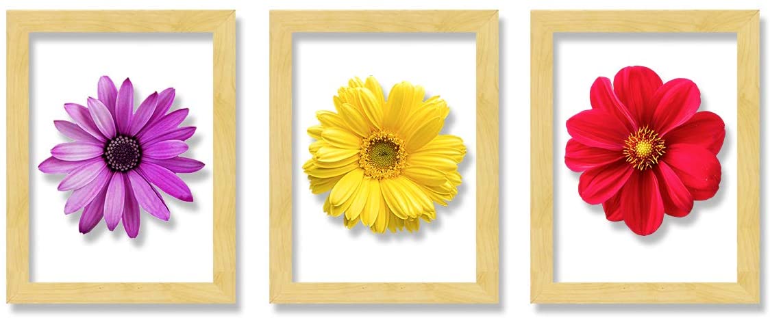 Set of 3 Wooden Wall Art Flower Designed Clear Acrylic Glass Framed Art Print (Size - 11.2x31 Inches)
