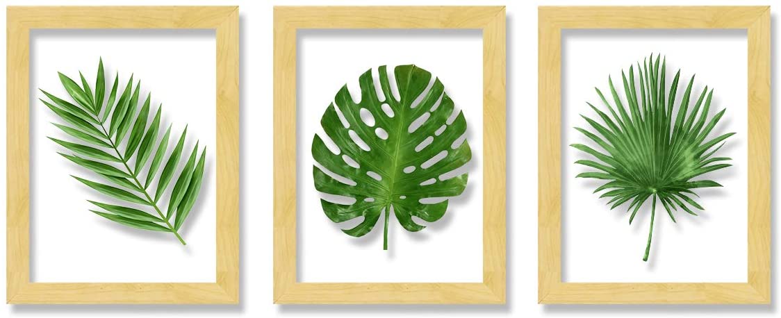 Set of 3 Wooden Wall Art Leaf Designed Clear Acrylic Glass Framed Art Print (Size - 11.2x31 Inches)