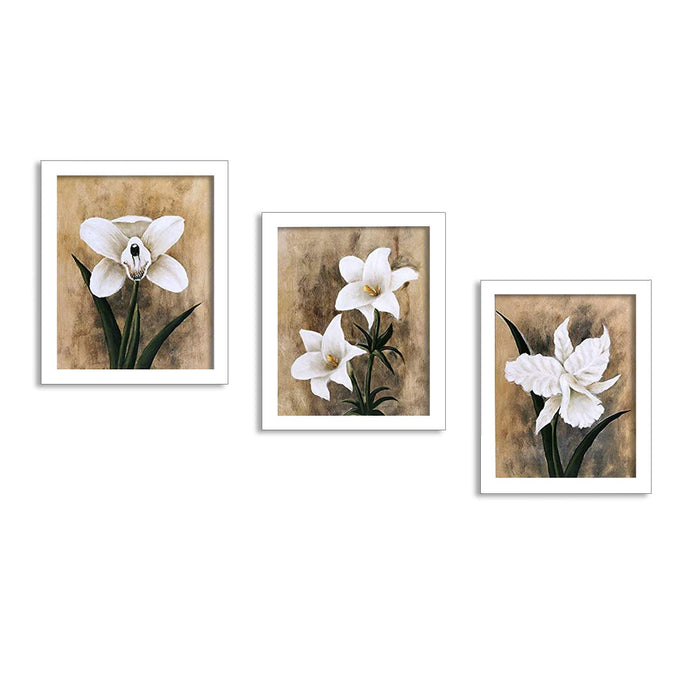 White Lilly Set Of 3 White Framed Art Prints Size - 8 x 10 Inch