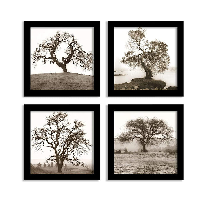 Tree Set Of 4 Black Framed Art Prints Size - 9 x 9 Inch