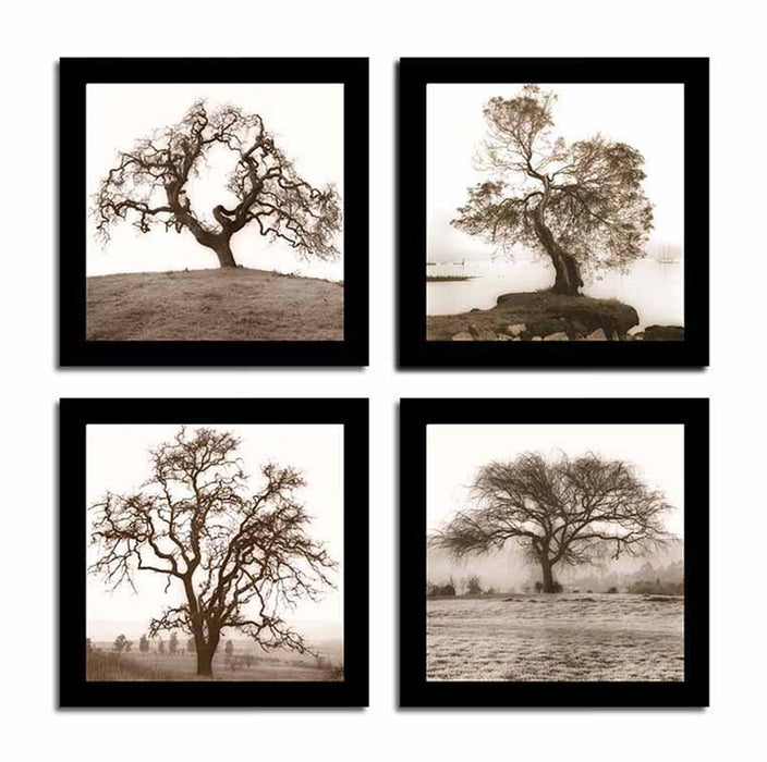 Big Gordonston Live Oak Tree Fine Art Print - Pen and Ink Drawing - Nature  Lover Gift — Fly Young Studio
