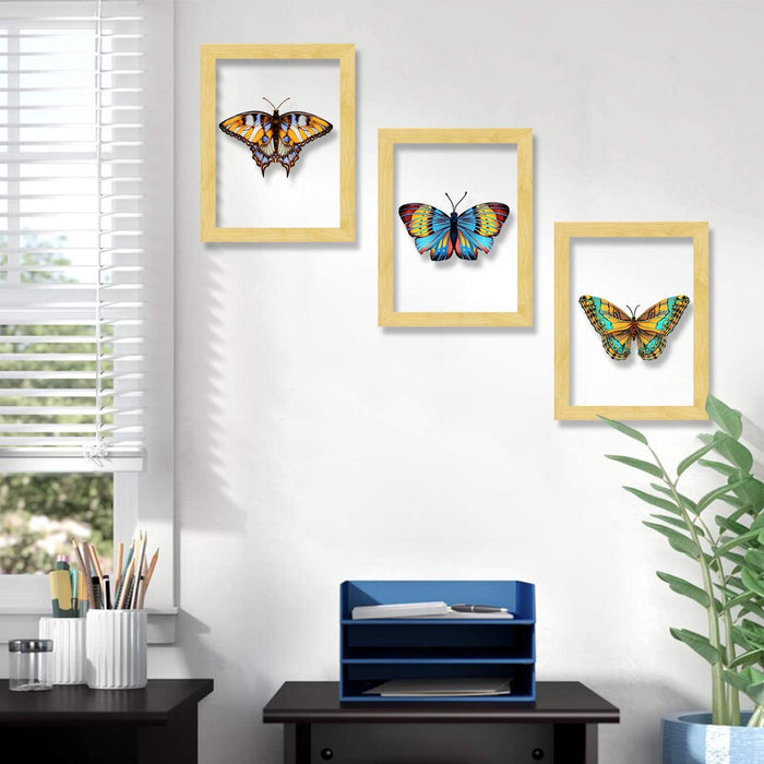 Set of 3 Wooden Wall Art Butterfly Designed Clear Acrylic Glass Framed Art Print (Size - 11.2x31 Inches)