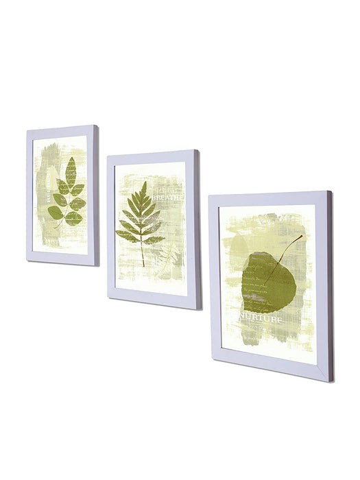 Green Nature Set Of 3 White Framed Art Prints Size - 8 x 10 Inch