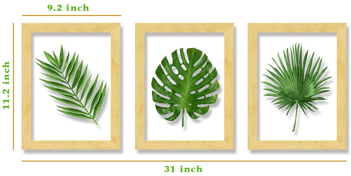 Set of 3 Wooden Wall Art Leaf Designed Clear Acrylic Glass Framed Art Print (Size - 11.2x31 Inches)