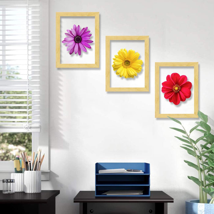 Set of 3 Wooden Wall Art Flower Designed Clear Acrylic Glass Framed Art Print (Size - 11.2x31 Inches)