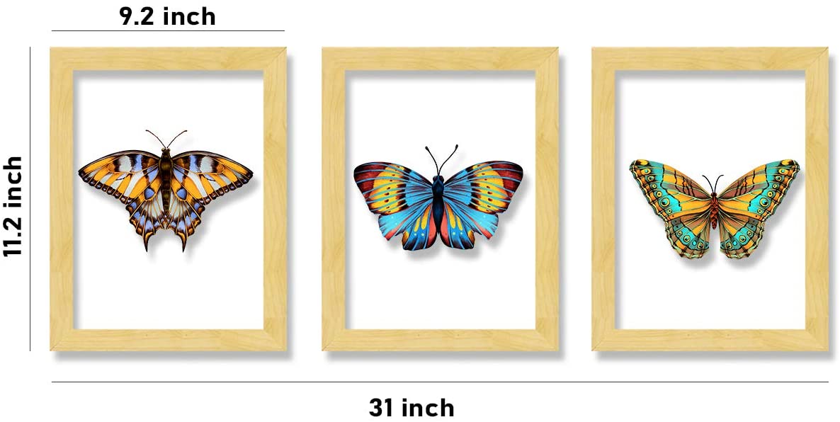 Set of 3 Wooden Wall Art Butterfly Designed Clear Acrylic Glass Framed Art Print (Size - 11.2x31 Inches)