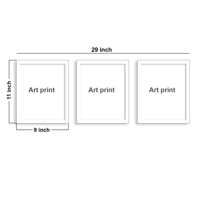 Rose Set Of 3 White Framed Art Prints Size - 8 x 10 Inch