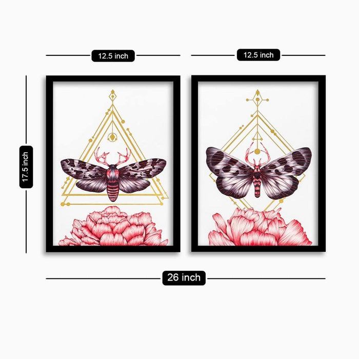 ‎Art Street Set of 2 Butterfly Art Print Painting Black Framed Poster for Home Décor and Wall Decoration (Size - 17.5 x 26 Inch)