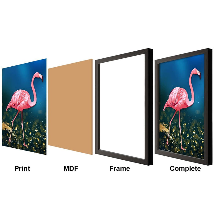 ‎Art Street Set of 2 Butterfly Art Print Painting Black Framed Poster for Home Décor and Wall Decoration (Size - 17.5 x 26 Inch)