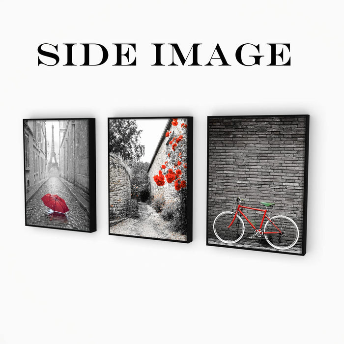 ‎Art Street Set of 3 Wall Art Canvas Painting with Frame Luxury Decorative item for Home (13 x 17 Inches)