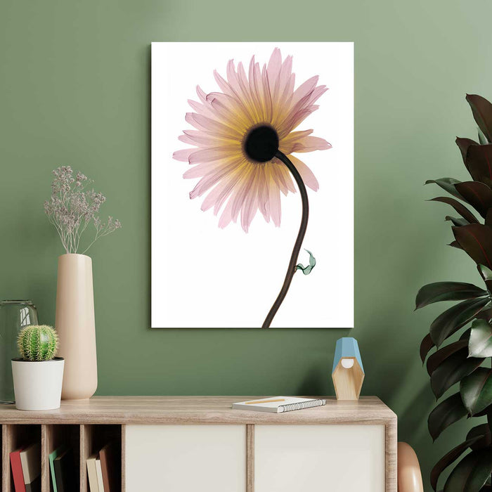 Floral Canvas Poster and Print Transparent Plant Flowers Cyclamen Wall Art Canvas Painting Decor Picture Home Decoration, Design By Albert Koetsier