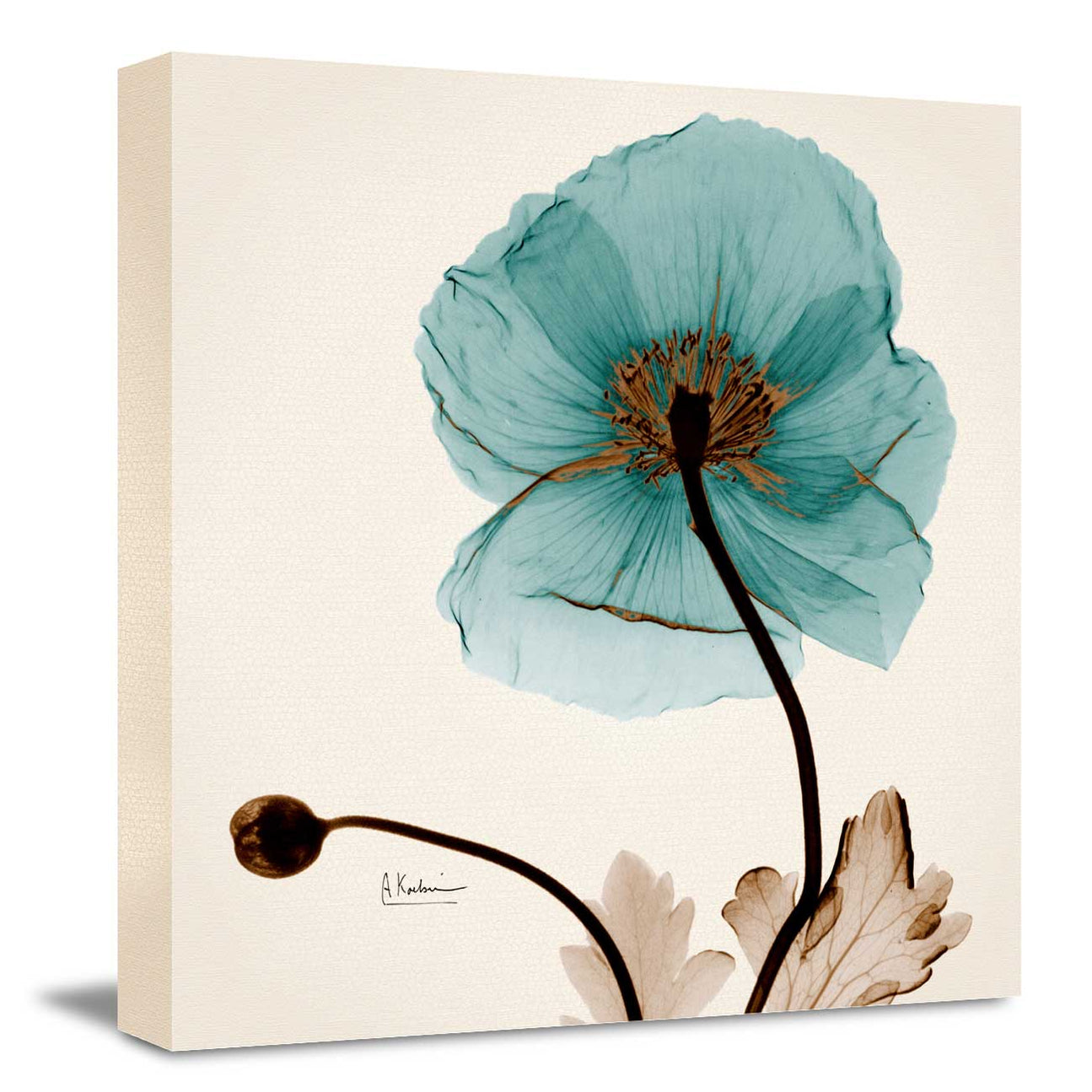 Floral Decorative Wall Art Painting Blue Poppy Modern XRay Floral Wal
