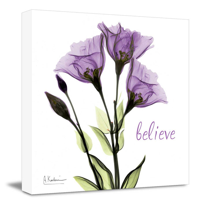 Gentian in Purple Believe Painting Modern Canvas Floral Wall Art , Wall Painting For Living Room Decor  X-Ray Flower Photograph Print Wall Art By Albert Koetsier