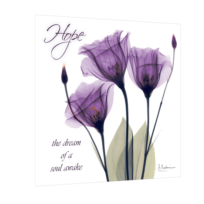 Gentian in Purple Hope Painting Modern Canvas Floral Wall Art , Wall Painting For Living Room Decor  X-Ray Flower Photograph Print Wall Art By Albert Koetsier