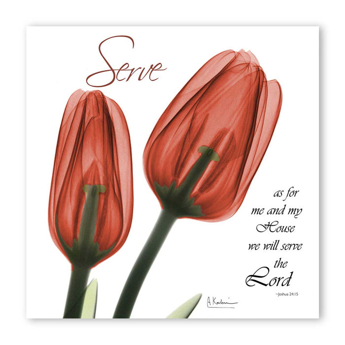Red tulips serve Poster Print Flower Canvas art Print, Modern X-Ray Wall Painting For Living Room Decor, Design By Albert Koetsier