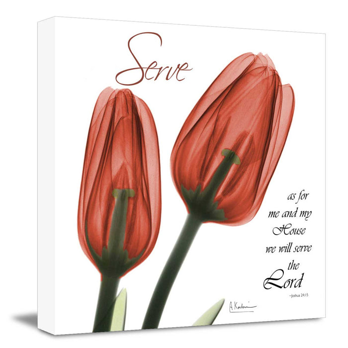Red tulips serve Poster Print Flower Canvas art Print, Modern X-Ray Wall Painting For Living Room Decor, Design By Albert Koetsier