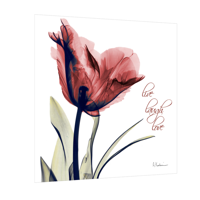 Red tulips Live laugh Love Poster Print Flower Canvas art Print, Modern X-Ray Wall Painting For Living Room Decor, Design By Albert Koetsier